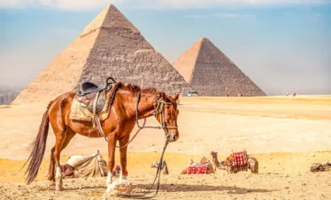 Cairo Day Trip From Hurghada Private