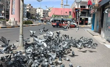 City tour – Local Hurghada Walking & Food Tour