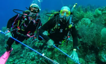 Dive & Dine-intro Dive adventure
