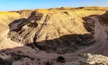 Wadi Melaha Oasis Safari & Fossil Canyon Adventure (Private)
